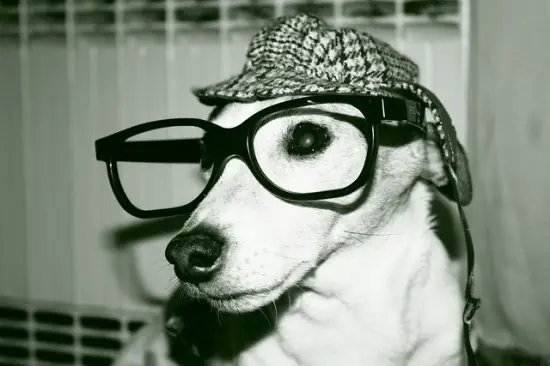 Odio la palabra hipster