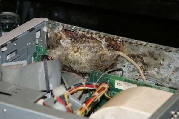 propagandas graciosas