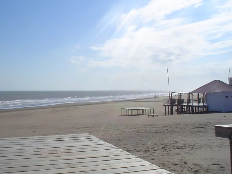 gesell