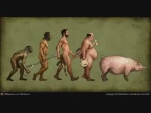 Imagenes graciosas