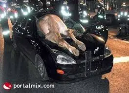 imagenes raras