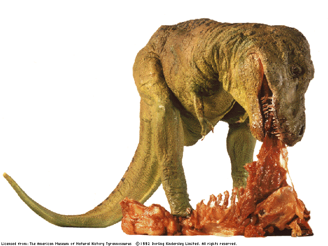 el tiranosaurio rex era herbivoro