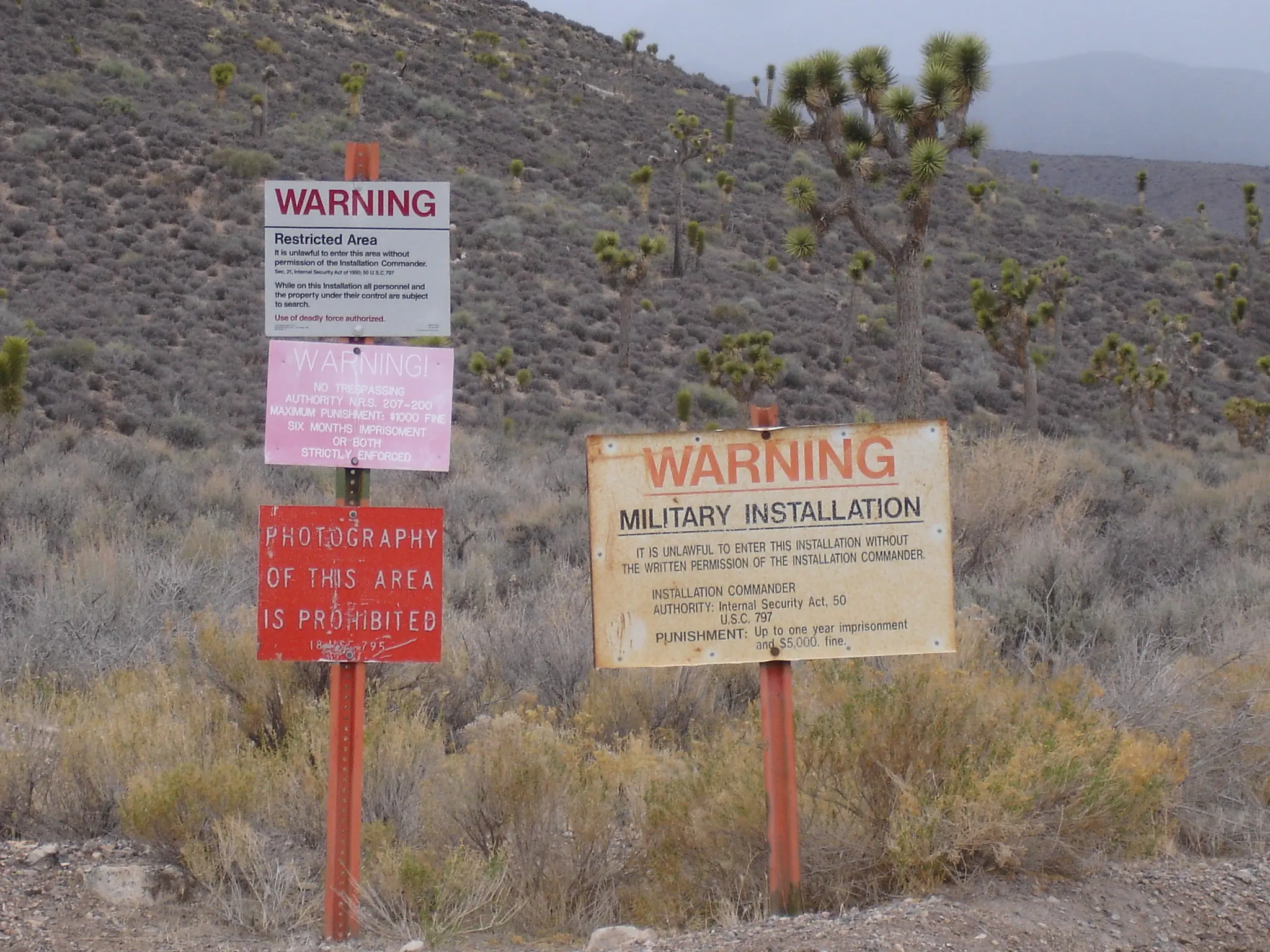 Ubicación - Area 51
