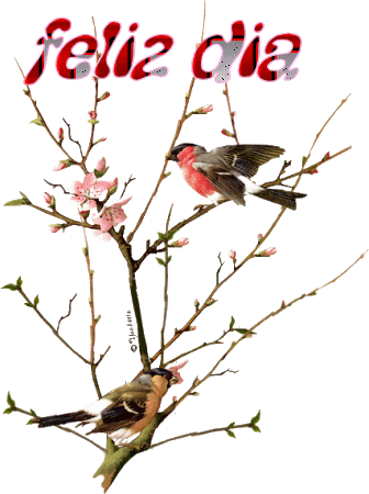 ¡Feliz Dia De Hoy!