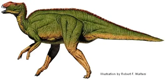 El Hadrosaurus