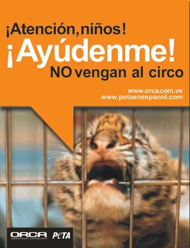 no al maltrato de animales...