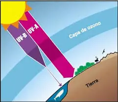 contaminacion