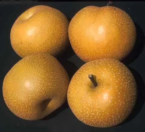 Frutas que seguramente no conoces:Parte 2 Frutas que seguramente no conoces:Parte 2