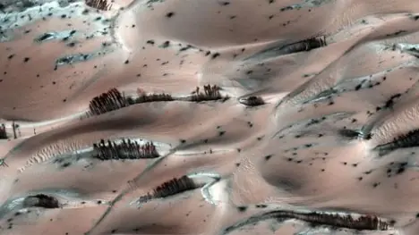 ¿Vida en Marte?: La NASA publica fotos de árboles en Marte
