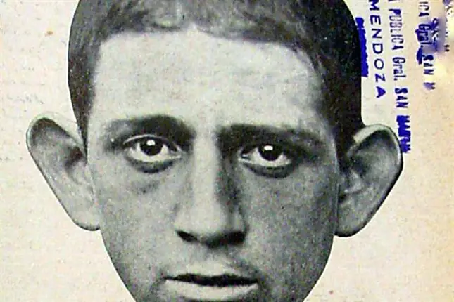 petiso orejudo