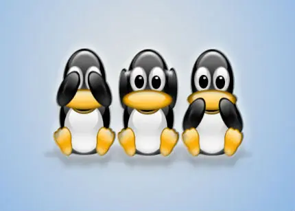 Linux es el sistema preferido para los fraudes en la red