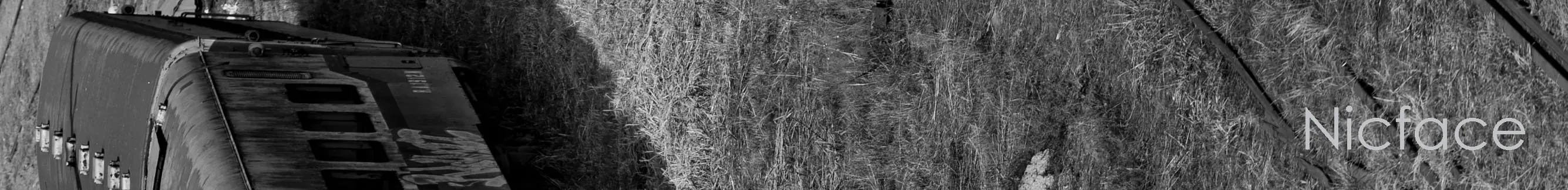 El silencio (Fotos Propias)