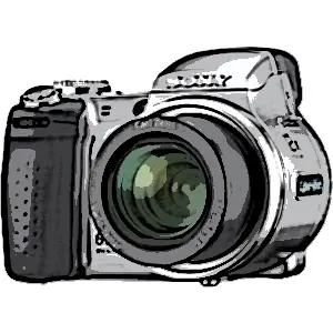 Como recuperar las fotos borradas de una camara digital