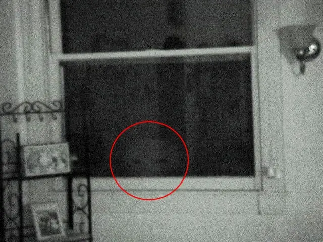 Paranormal