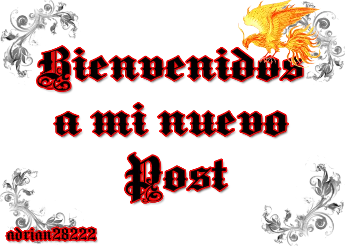 No creas algo ciegamente sin probar estas 10 Herramientas