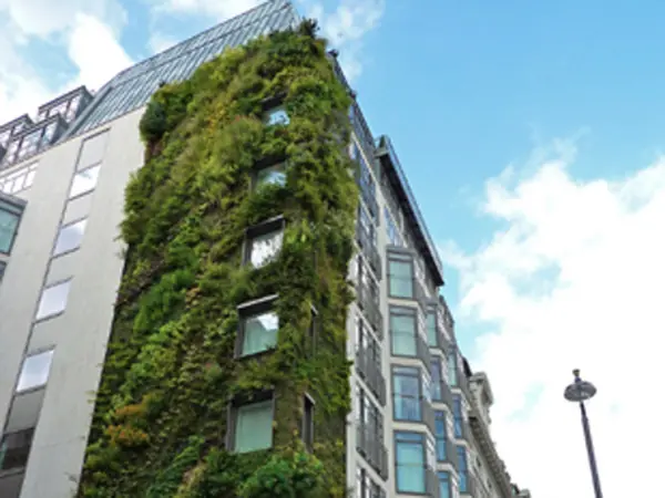 Las plantas en los muros ayudan a limpiar el aire