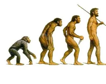 Te explico la teoría de la evolución