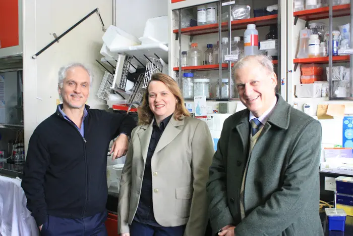 Frenan cáncer en animales de laboratorio