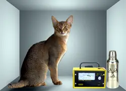 Cómo mantener el gato vivo-muerto durante más tiempo