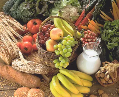 alimentos