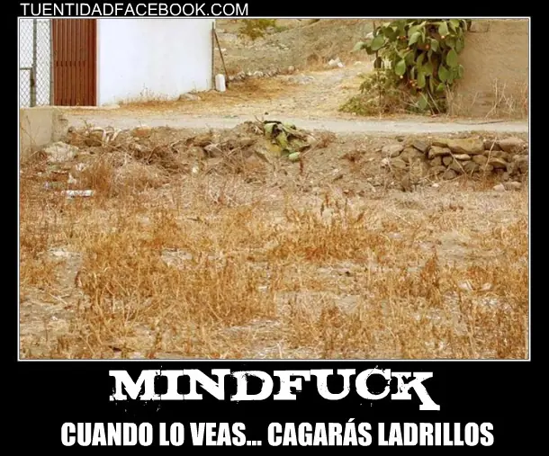 Los 15 mejores mindfucks... con su solución. (resueltos)