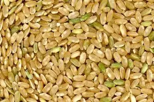 Recetas con verdura bajas calorías