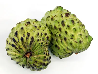 Planta Anticancerígena -Importante-.