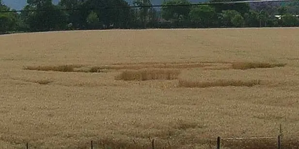 Crop Circle en Salta - Argentina 2012