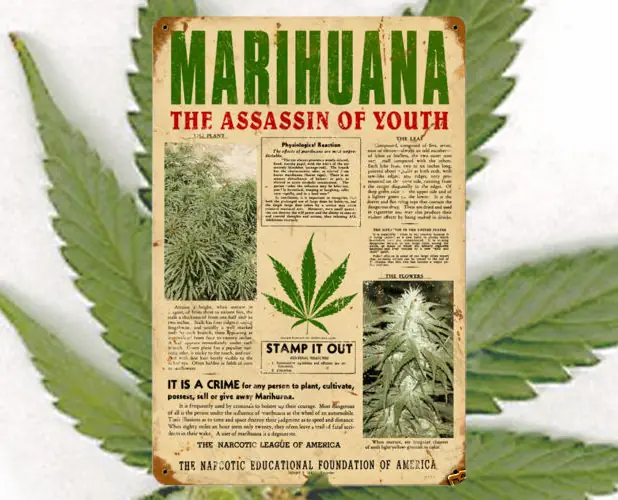 ¿Por qué es ilegal la marihuana?