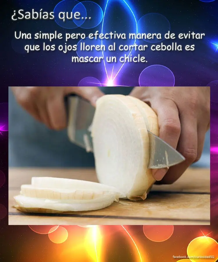 10 cosas que no sabias(datos curiosos) parte 10