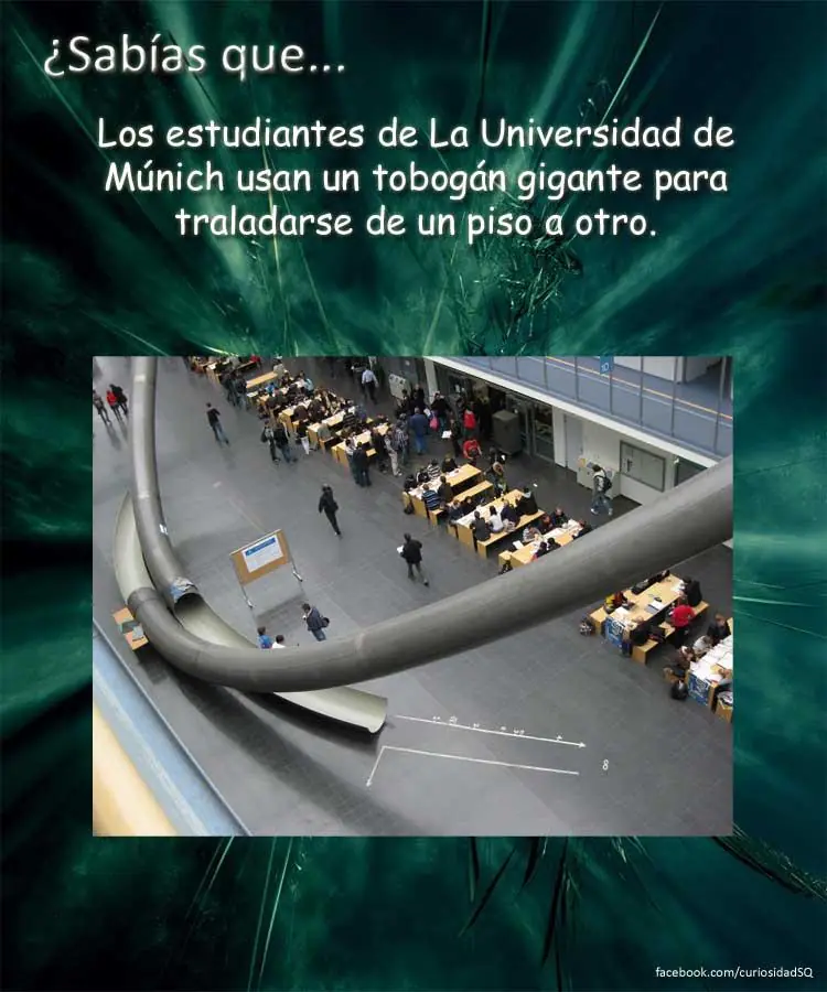 curiosidades