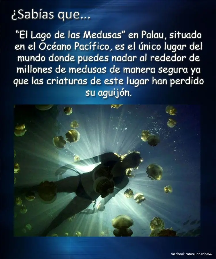 10 cosas que no sabias(datos curiosos) parte 2