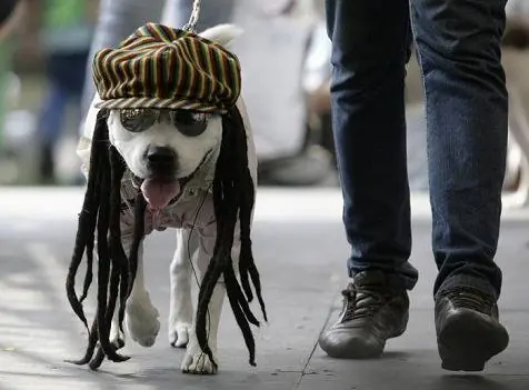 striptees miralo entero!