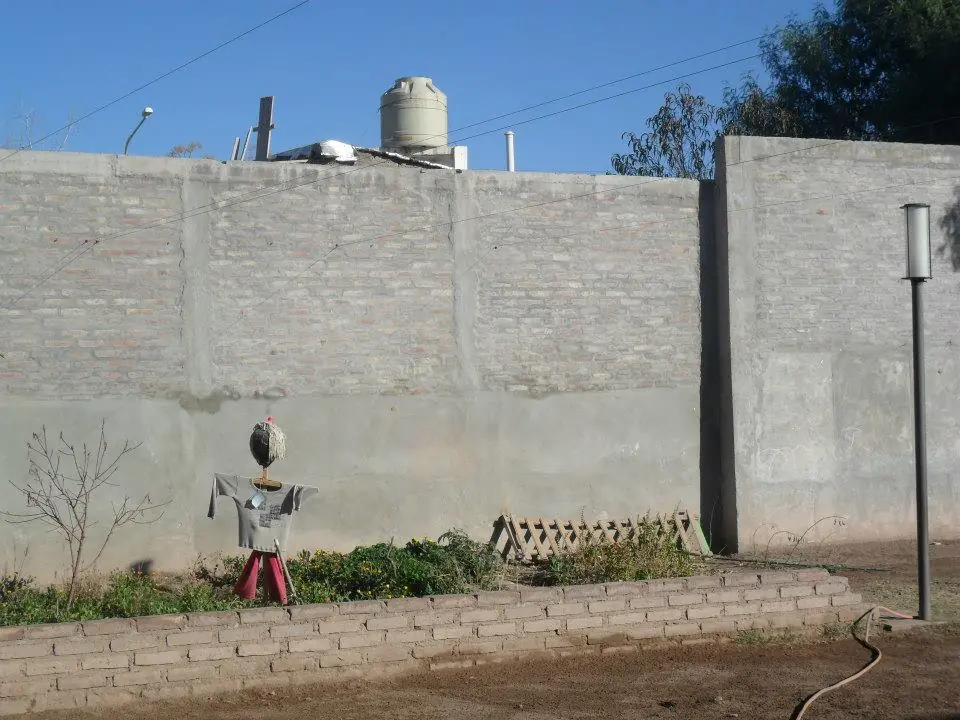 hice un mural solidario y te lo muestro