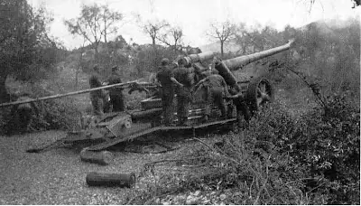 21 cm, son suficientes