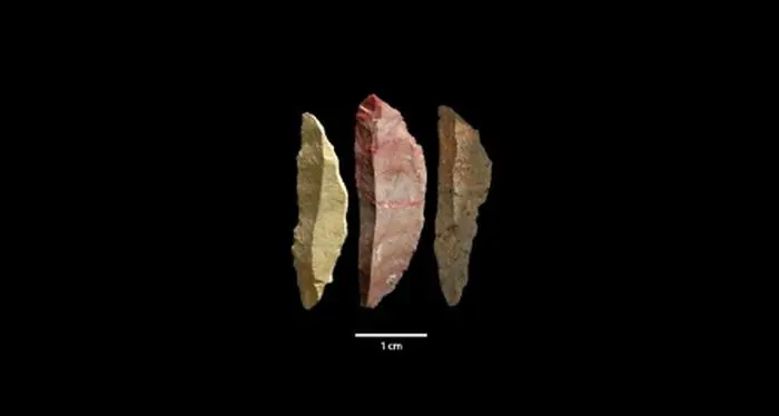 Homo Sapiens usaba sofisticadas herramientas hace 71000 año