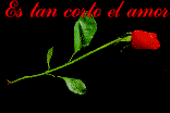 Frases Para Alegrar El Dia