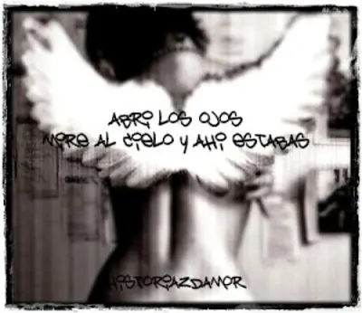 El Amor y el enamoramiento