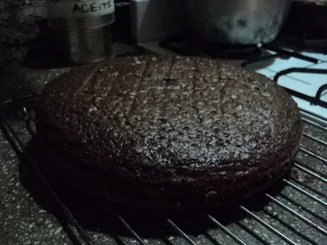 Torta de chocolate a lo Paloma_22