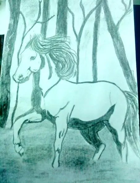 caballo a carbonilla