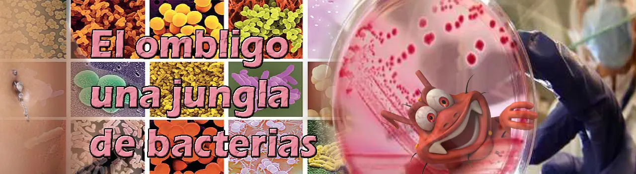 Una jungla de bacterias en tu ombligo