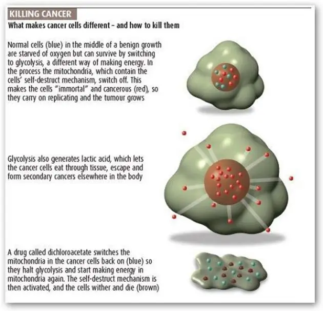 posible cura para el cancer,no se vende porque no es negocio