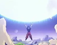 risa