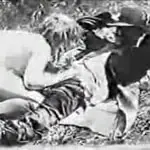 Curiosidades varias del cine porno