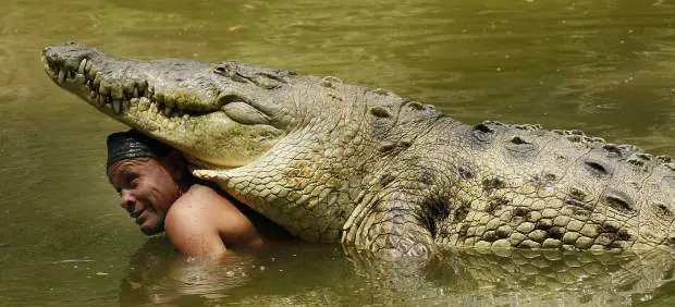 La amistad entre un cocodrilo gigante y un pescador