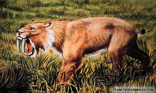 10 animales prehistóricos y extintos que podrian resucitar