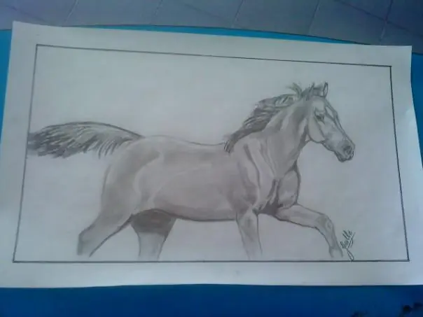 caballo a carbonilla