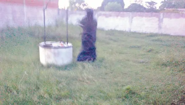 Fantasma de mujer aparece en el aljibe de una vivienda