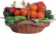 Planificación y diseño de la huerta