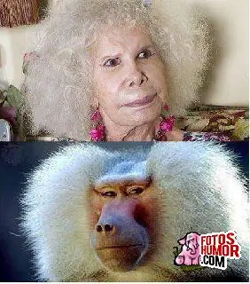 Parecidos razonables y otras!